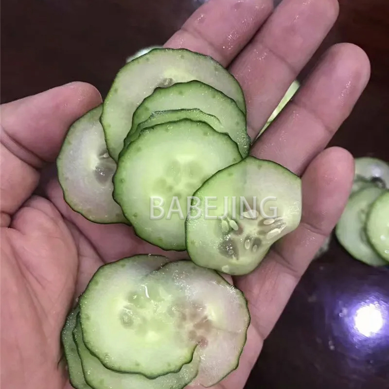 Electric Mini Scallion Chopper - огляд і ціна Commercial Kitchen Appliance